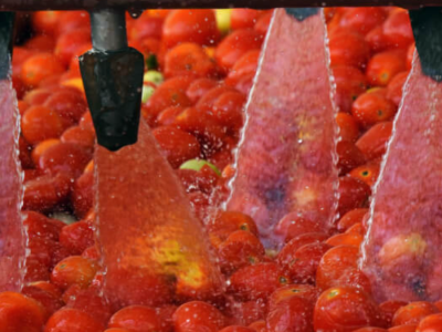 lavaggio-pomodori